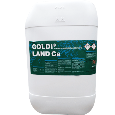 Producte Goldi Land